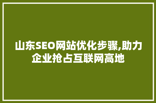 山东SEO网站优化步骤,助力企业抢占互联网高地