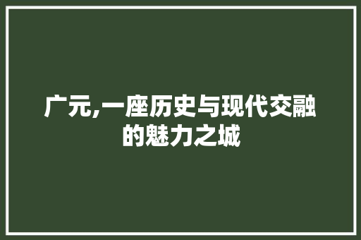 广元,一座历史与现代交融的魅力之城 Webpack