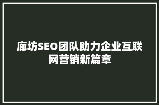 廊坊SEO团队助力企业互联网营销新篇章