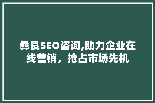 彝良SEO咨询,助力企业在线营销，抢占市场先机