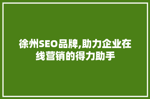 徐州SEO品牌,助力企业在线营销的得力助手