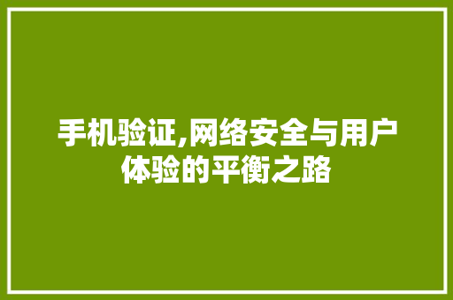 手机验证,网络安全与用户体验的平衡之路