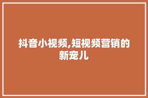 抖音小视频,短视频营销的新宠儿 SQL