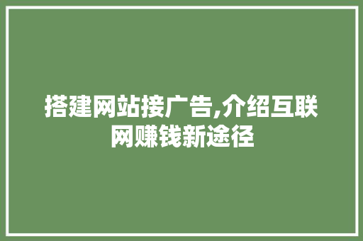 搭建网站接广告,介绍互联网赚钱新途径 Webpack