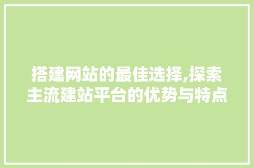 搭建网站的最佳选择,探索主流建站平台的优势与特点 Docker