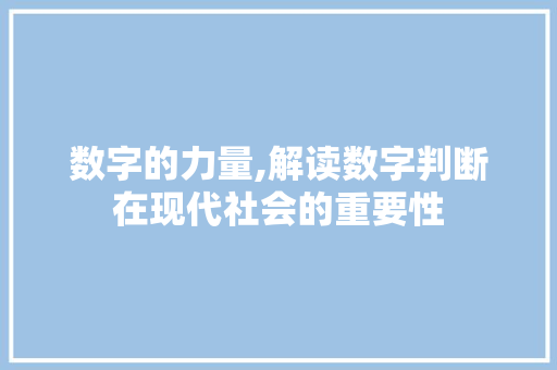 数字的力量,解读数字判断在现代社会的重要性