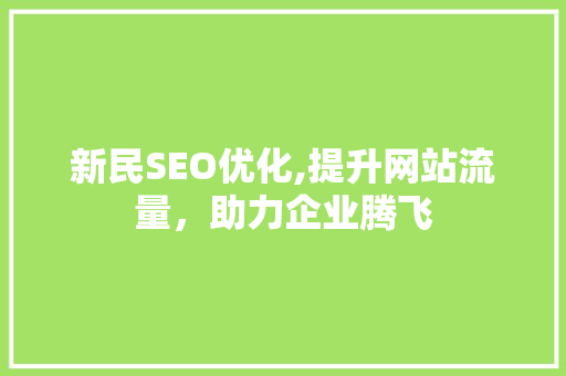 新民SEO优化,提升网站流量，助力企业腾飞