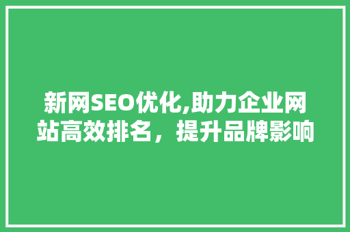 新网SEO优化,助力企业网站高效排名，提升品牌影响力 SQL