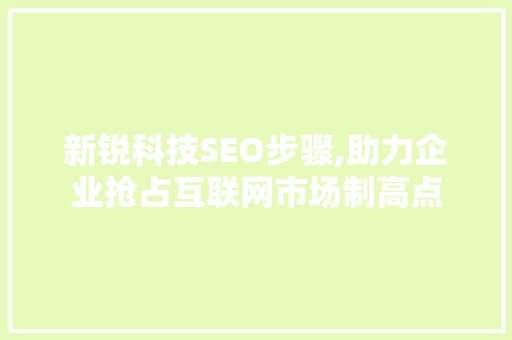 新锐科技SEO步骤,助力企业抢占互联网市场制高点 RESTful API