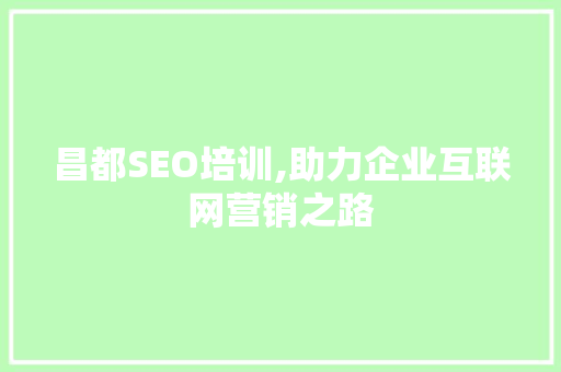 昌都SEO培训,助力企业互联网营销之路