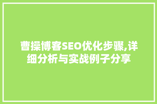 曹操博客SEO优化步骤,详细分析与实战例子分享