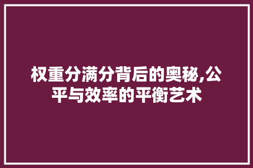 权重分满分背后的奥秘,公平与效率的平衡艺术 GraphQL