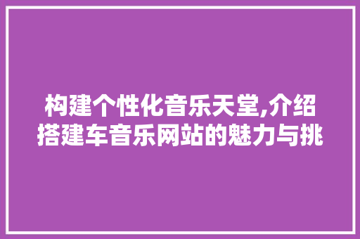 构建个性化音乐天堂,介绍搭建车音乐网站的魅力与挑战 Node.js