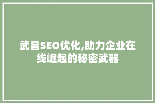 武昌SEO优化,助力企业在线崛起的秘密武器