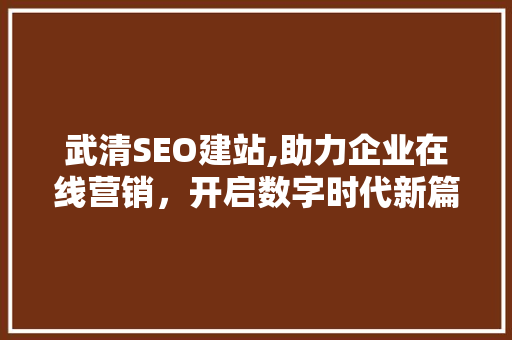 武清SEO建站,助力企业在线营销，开启数字时代新篇章