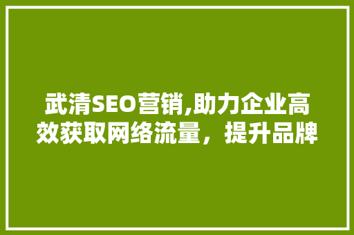 武清SEO营销,助力企业高效获取网络流量，提升品牌影响力