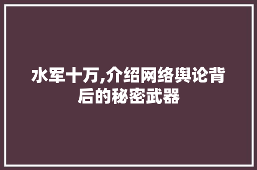 水军十万,介绍网络舆论背后的秘密武器