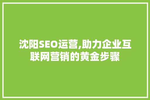 沈阳SEO运营,助力企业互联网营销的黄金步骤