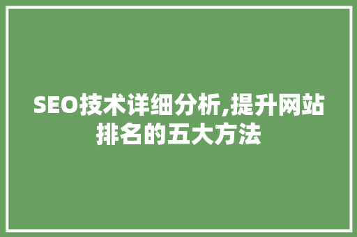 SEO技术详细分析,提升网站排名的五大方法 Vue.js