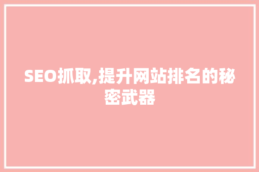 SEO抓取,提升网站排名的秘密武器