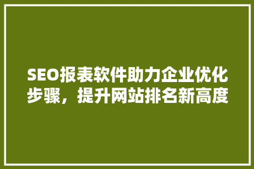 SEO报表软件助力企业优化步骤，提升网站排名新高度