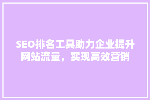 SEO排名工具助力企业提升网站流量，实现高效营销