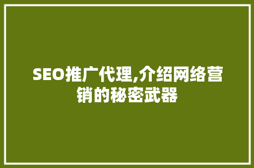 SEO推广代理,介绍网络营销的秘密武器