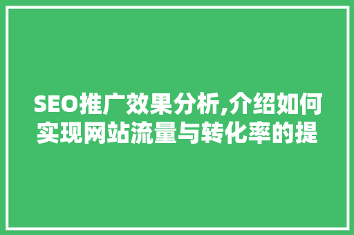 SEO推广效果分析,介绍如何实现网站流量与转化率的提升