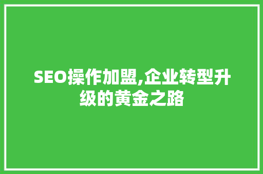 SEO操作加盟,企业转型升级的黄金之路