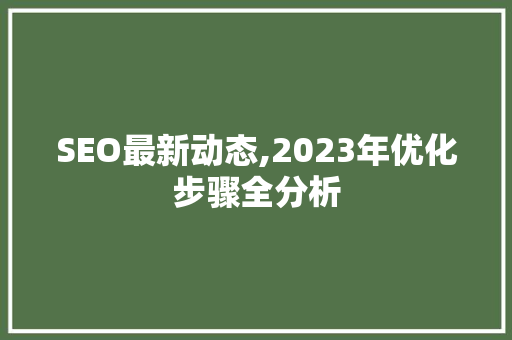 SEO最新动态,2023年优化步骤全分析 Python