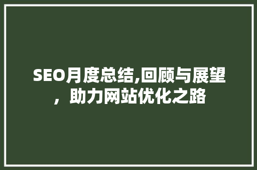 SEO月度总结,回顾与展望，助力网站优化之路 Python