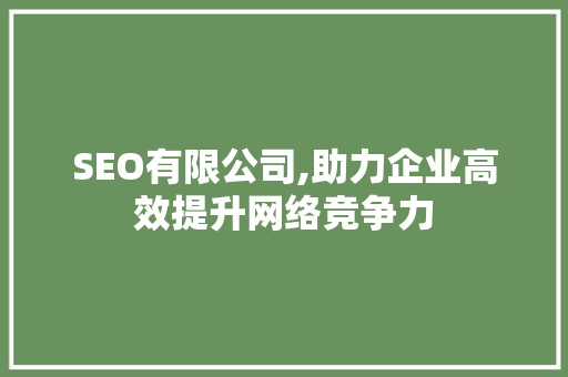 SEO有限公司,助力企业高效提升网络竞争力