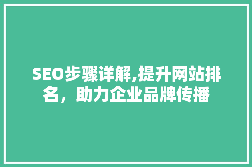 SEO步骤详解,提升网站排名，助力企业品牌传播 Vue.js