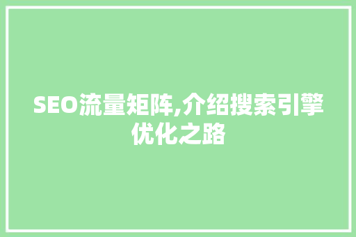 SEO流量矩阵,介绍搜索引擎优化之路