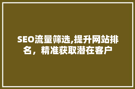 SEO流量筛选,提升网站排名，精准获取潜在客户