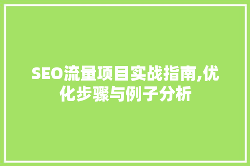 SEO流量项目实战指南,优化步骤与例子分析 RESTful API