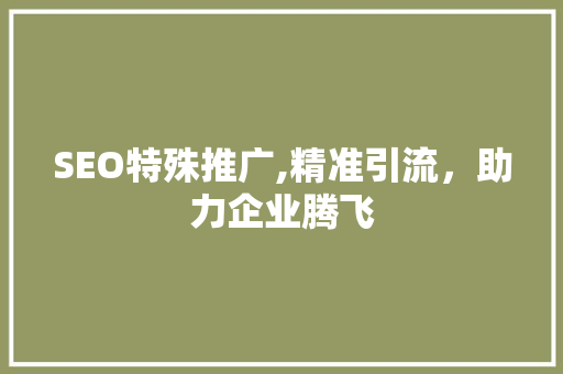 SEO特殊推广,精准引流，助力企业腾飞 Vue.js