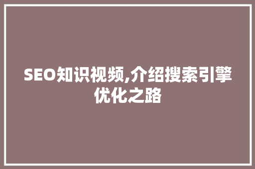 SEO知识视频,介绍搜索引擎优化之路 Vue.js