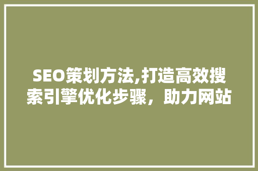 SEO策划方法,打造高效搜索引擎优化步骤，助力网站流量提升 PHP