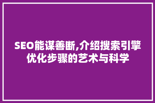 SEO能谋善断,介绍搜索引擎优化步骤的艺术与科学 CSS