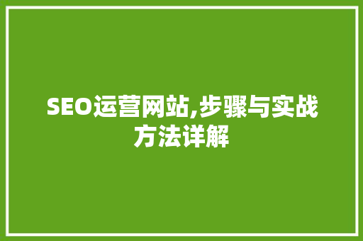 SEO运营网站,步骤与实战方法详解 Webpack