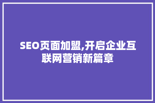 SEO页面加盟,开启企业互联网营销新篇章