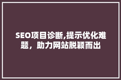 SEO项目诊断,提示优化难题，助力网站脱颖而出