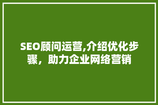 SEO顾问运营,介绍优化步骤，助力企业网络营销