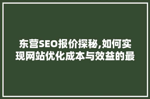 东营SEO报价探秘,如何实现网站优化成本与效益的最大化