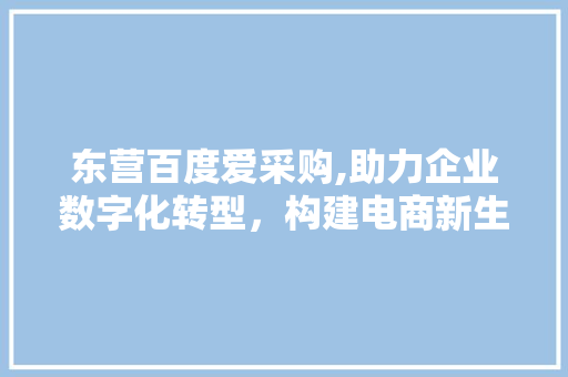 东营百度爱采购,助力企业数字化转型，构建电商新生态