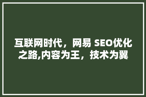 互联网时代，网易 SEO优化之路,内容为王，技术为翼