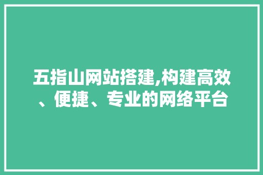 五指山网站搭建,构建高效、便捷、专业的网络平台 Node.js