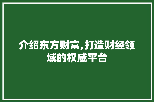 介绍东方财富,打造财经领域的权威平台