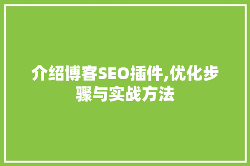 介绍博客SEO插件,优化步骤与实战方法